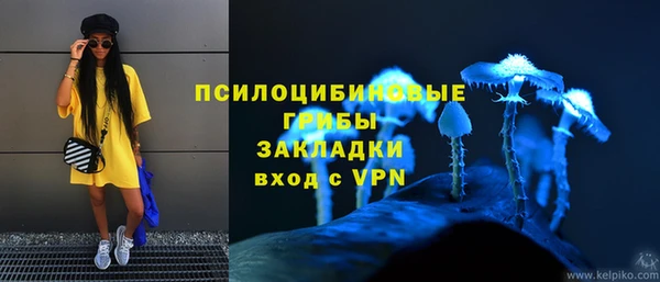 ГАЛЛЮЦИНОГЕННЫЕ ГРИБЫ Алзамай