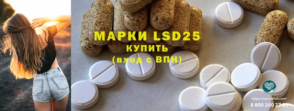 ГАЛЛЮЦИНОГЕННЫЕ ГРИБЫ Алзамай