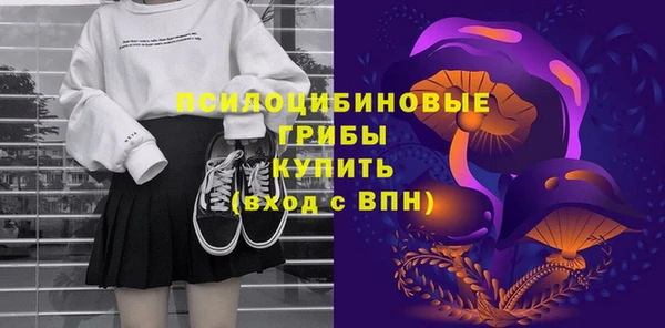 герыч Алексин
